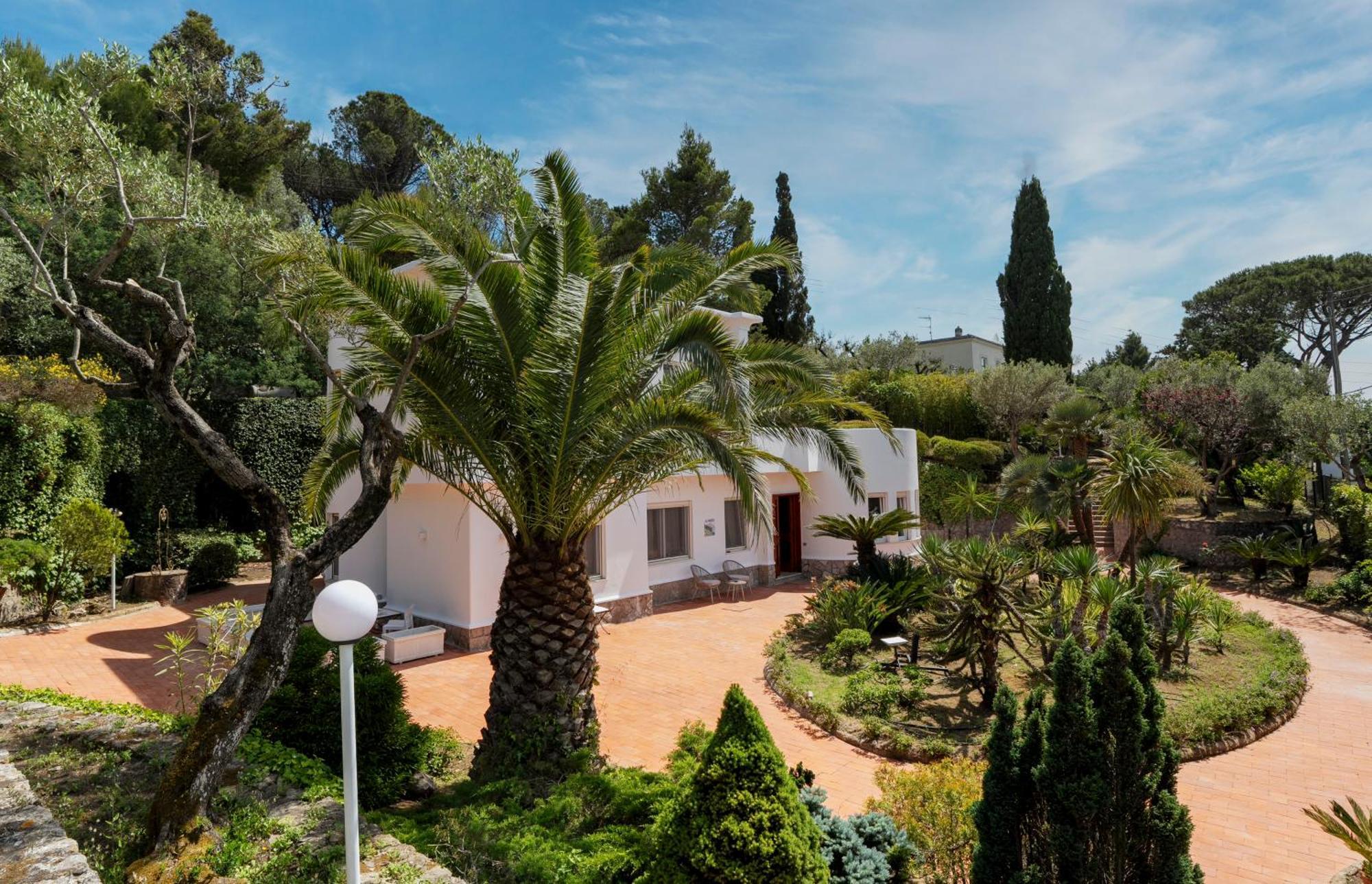 Villa Donna Carolina Capri Anacapri  Extérieur photo